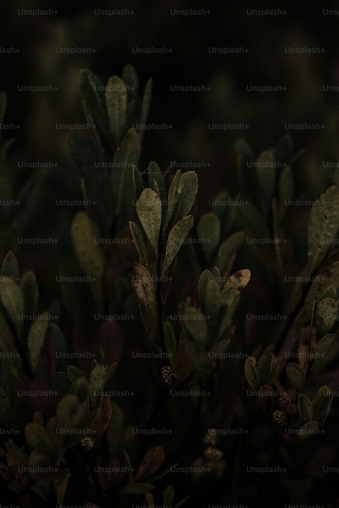 http://n.sinaimg.cn/translate-15/750/w930h620/20180316/7-xf-fyshfuq2855530.jpg?zdy